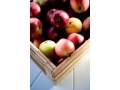 1600571_dania_apple_crate_e.jpg