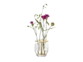 Ikebana_Small_.jpg04.jpg