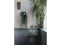 Plant_box_round_.jpg03.jpg