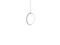Arrangements-suspension-Round_Medium_.jpg02.jpg
