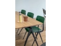Pyramid_Table_oak_.jpg01.jpg