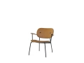 Co_Lounge_Chair.jpg03.jpg