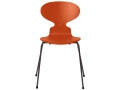 3101-ant_deep-clay_coloured-ash_.png06.jpg