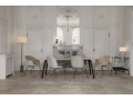 BeetleDiningChair_.tif01.jpg