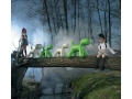 magis-puppy-image.jpg