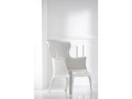 pasha_660_bi_ambientata_low.jpg