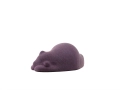 Resting_Bear_17.jpg