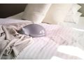 Resting_Cat_01.jpg