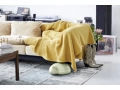 Resting_Cat_10.jpg
