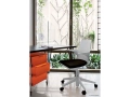 spoon_chair_.jpg01.jpg