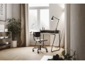 Thonet_desk_.jpg12.jpg