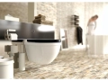 toilet_brush_1_.jpg01.jpg
