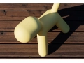 Magis_kids_puppy_.jpg02.jpg