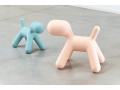 Magis_kids_puppy_.jpg07.jpg