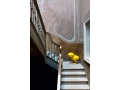 Magis_kids_happy_bird_abstract_bird_.jpg01.jpg