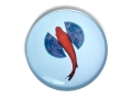 GD387-plateaurond-Fishkoi_.jpg01.jpg
