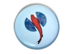 Round Tray Fishkoi - taca