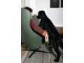 DuaRelaxLounge_foto_.jpg03.jpg