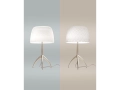 Lumiere_30_sacchetto_.jpg06.jpg