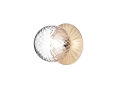 Nuura_Liila 1 Medium_Nordic Gold_Optic Clear_.jpg08.jpg