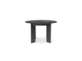 Round_table1_.jpg01.jpg