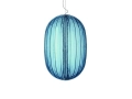 PLASS_blue.jpg