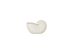 Shell Pot - donica