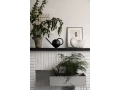 Shell_pot_1_.jpg05.jpg