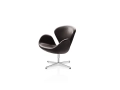 Swan_.tif01.jpg