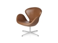 Swan_.tif06.jpg