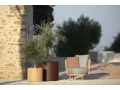 Baza clubchair_.jpg01.jpg