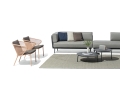 Condor collection_low_.jpg04.jpg