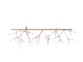 heracleum-endless.jpg03.jpg