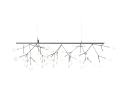 heracleum-endless.jpg05.jpg