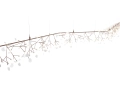 heracleum-endless.jpg12.jpg