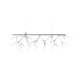 heracleum-endless.jpg14.jpg