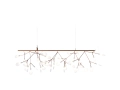 heracleum-endless.jpg15.jpg