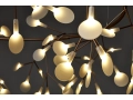 heracleum-the-big-o.png05.jpg