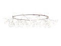 heracleum-the-big-o.png10.jpg