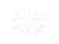 Heracleum_II_.JPG03.JPG