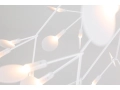 Heracleum_II_.JPG13.JPG