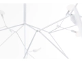 Heracleum_II_.JPG18.JPG
