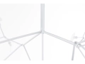 Heracleum_II_.JPG19.JPG