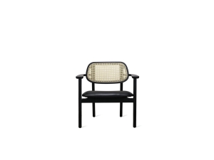 Titus lounge chair - fotel