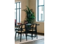 vincent-sheppard-titus-dining-chair_.jpg01.jpg