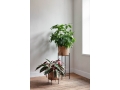 vincent-sheppard-vivi-plant-stand_.jpg06.jpg