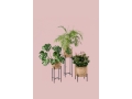 vincent-sheppard-vivi-plant-stand_.jpg07.jpg