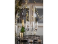 Champagne_glass_.jpg06.jpg