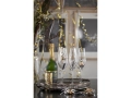 Champagne_glass_.jpg06.jpg