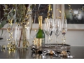 Champagne_glass_.jpg07.jpg